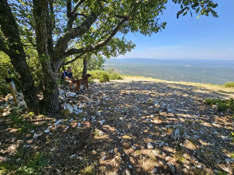 27.6. Wandern