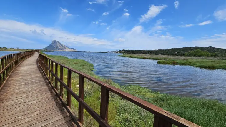 Camping Tavolara
