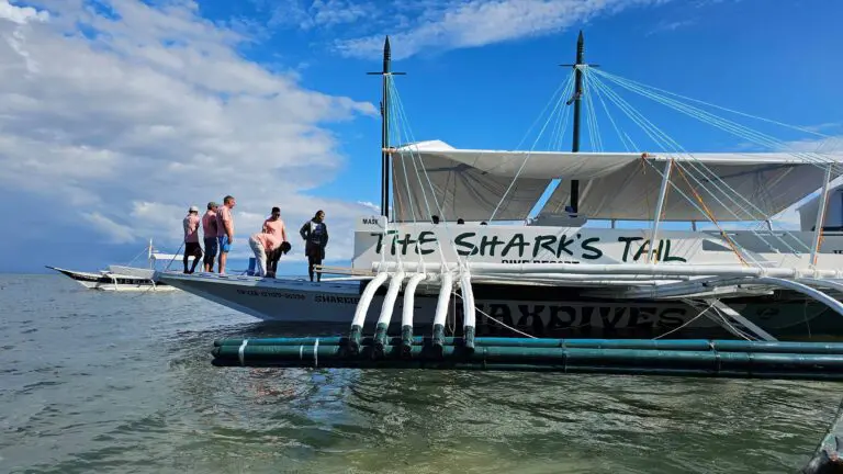 Shark’s Tail Boots-Einweihung